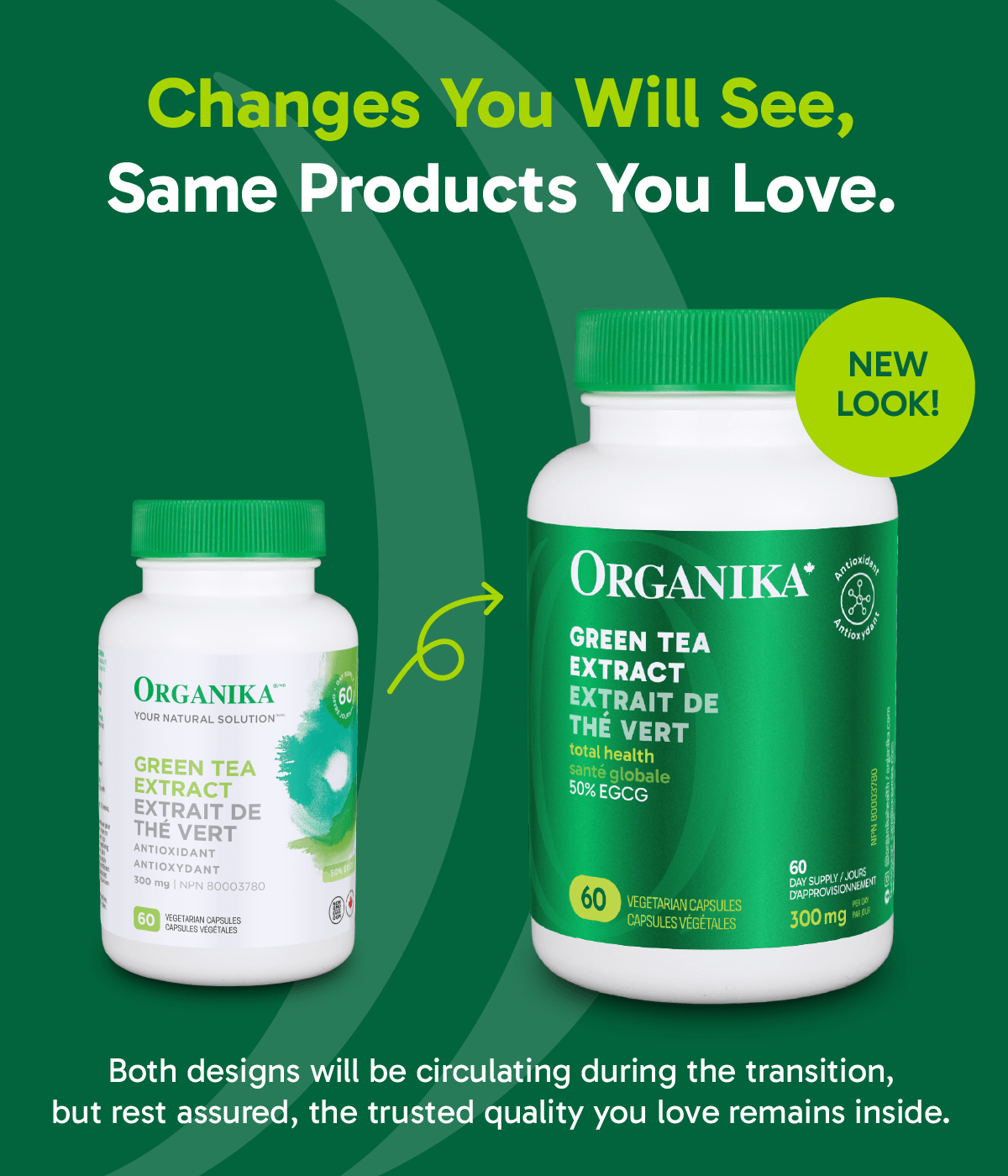Green Tea Extract